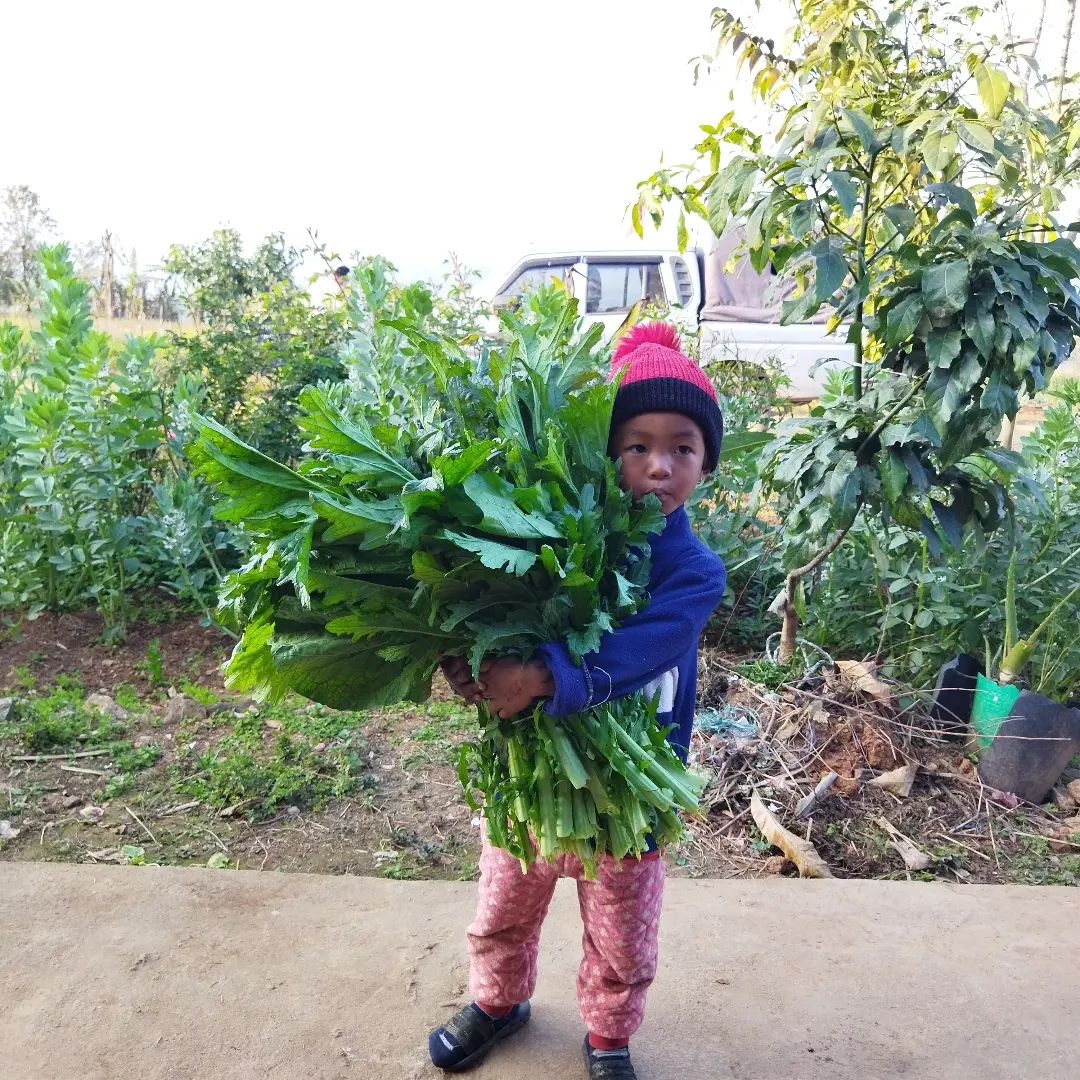 child with locally grown spinach